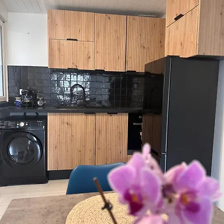 Duplex Proche Centre De * Pau